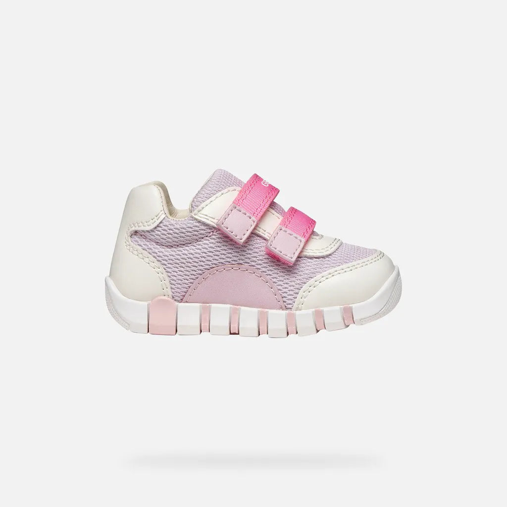 White/Lilac