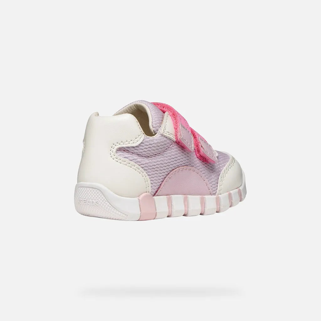 White/Lilac