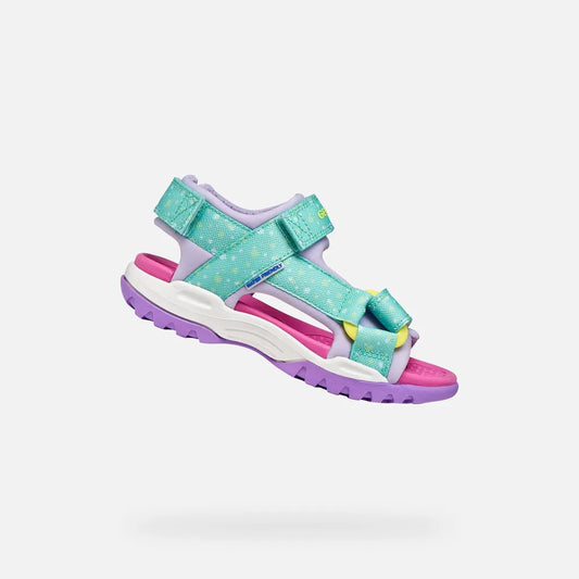 Sea Green/Lilac