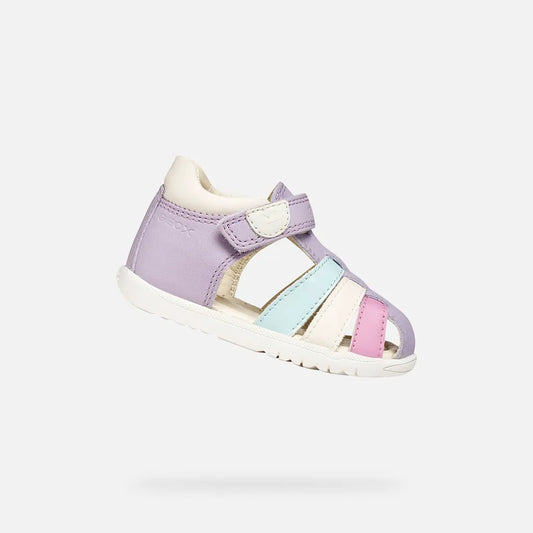 Lilac/Watersea
