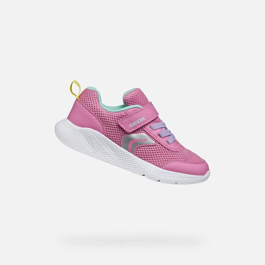 Pink/Watersea