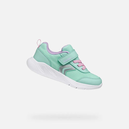 Sea Green/Pink