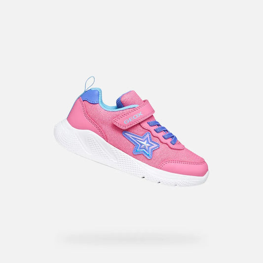 Pink/Indigo