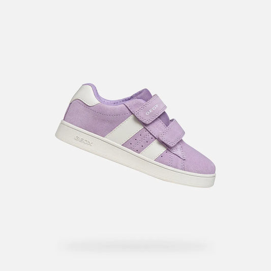 Lavender/White