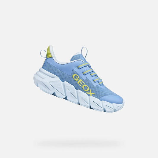 Light Blue/Lime