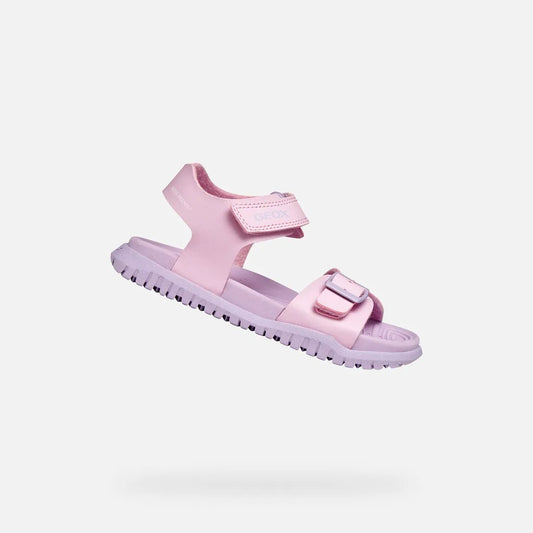Pink/Lilac