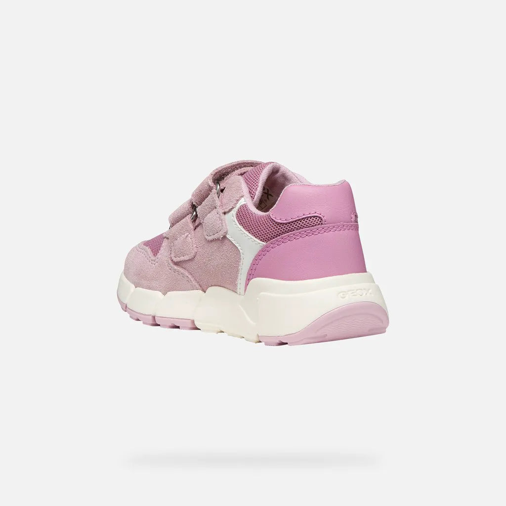 Rose/Dark pink
