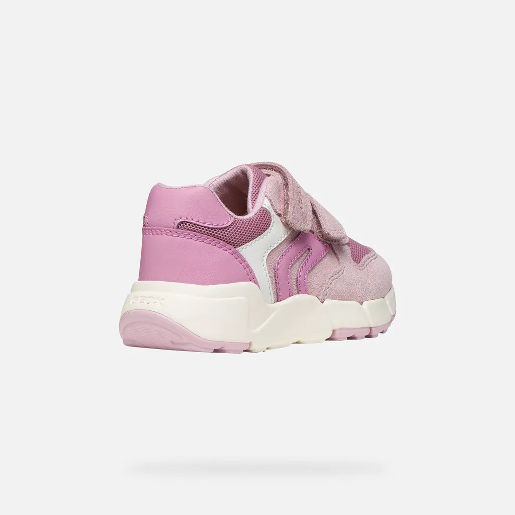 Rose/Dark pink