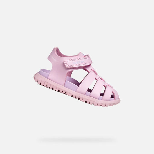 Pink/Lilac
