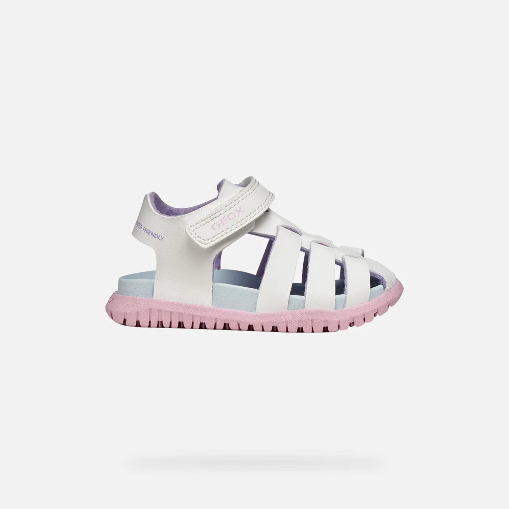 White/Pink