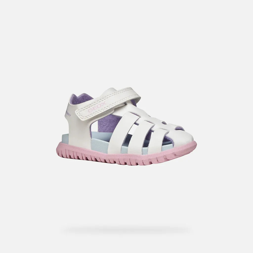 White/Pink