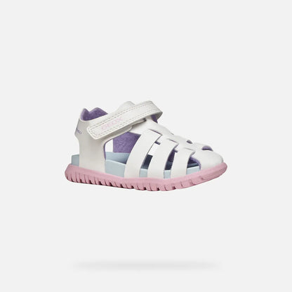 White/Pink