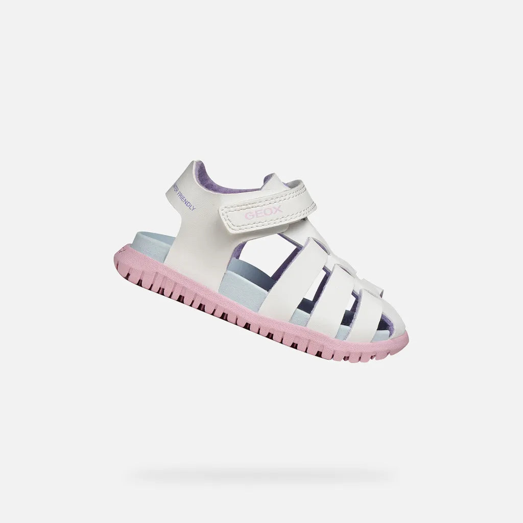 White/Pink