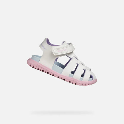 White/Pink
