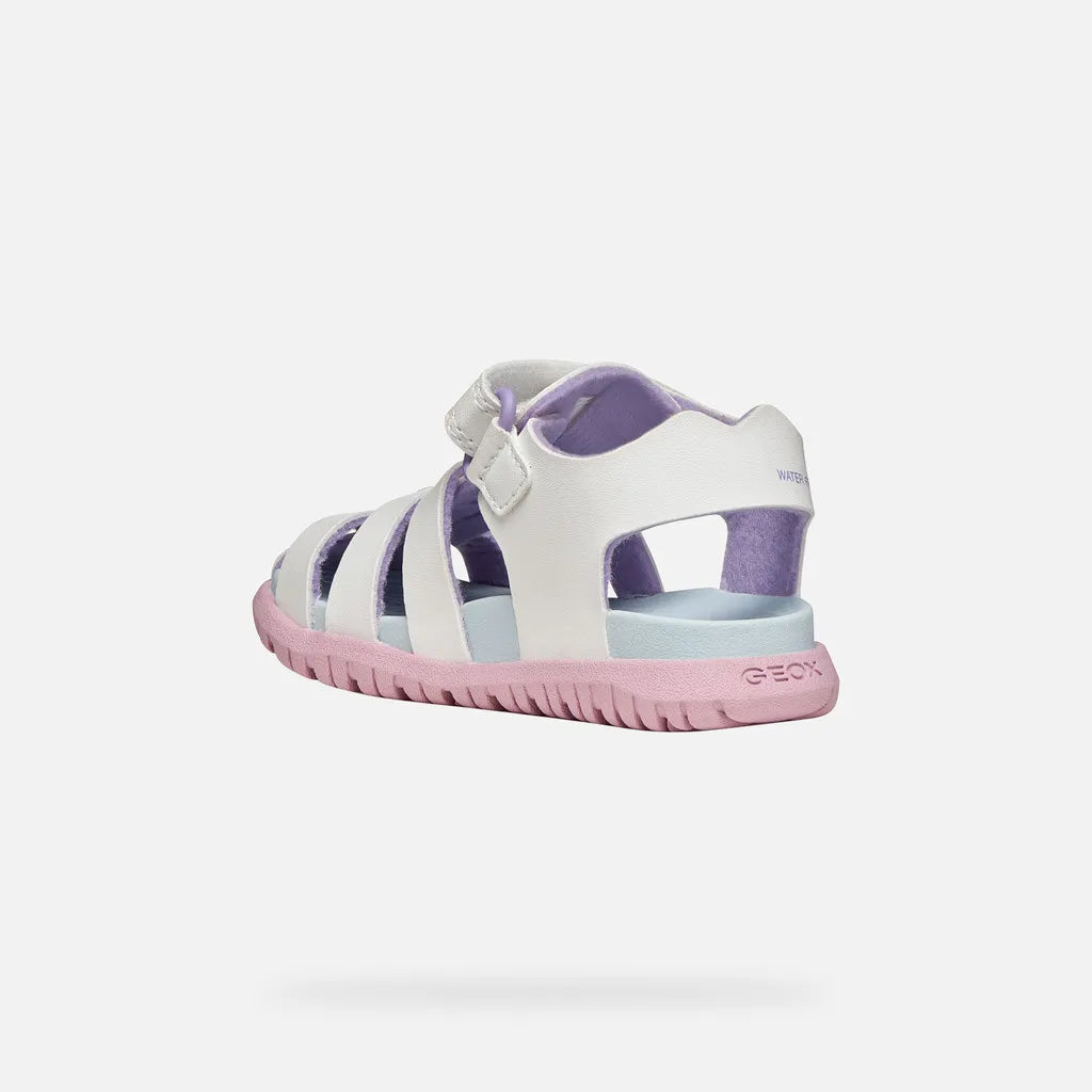 White/Pink