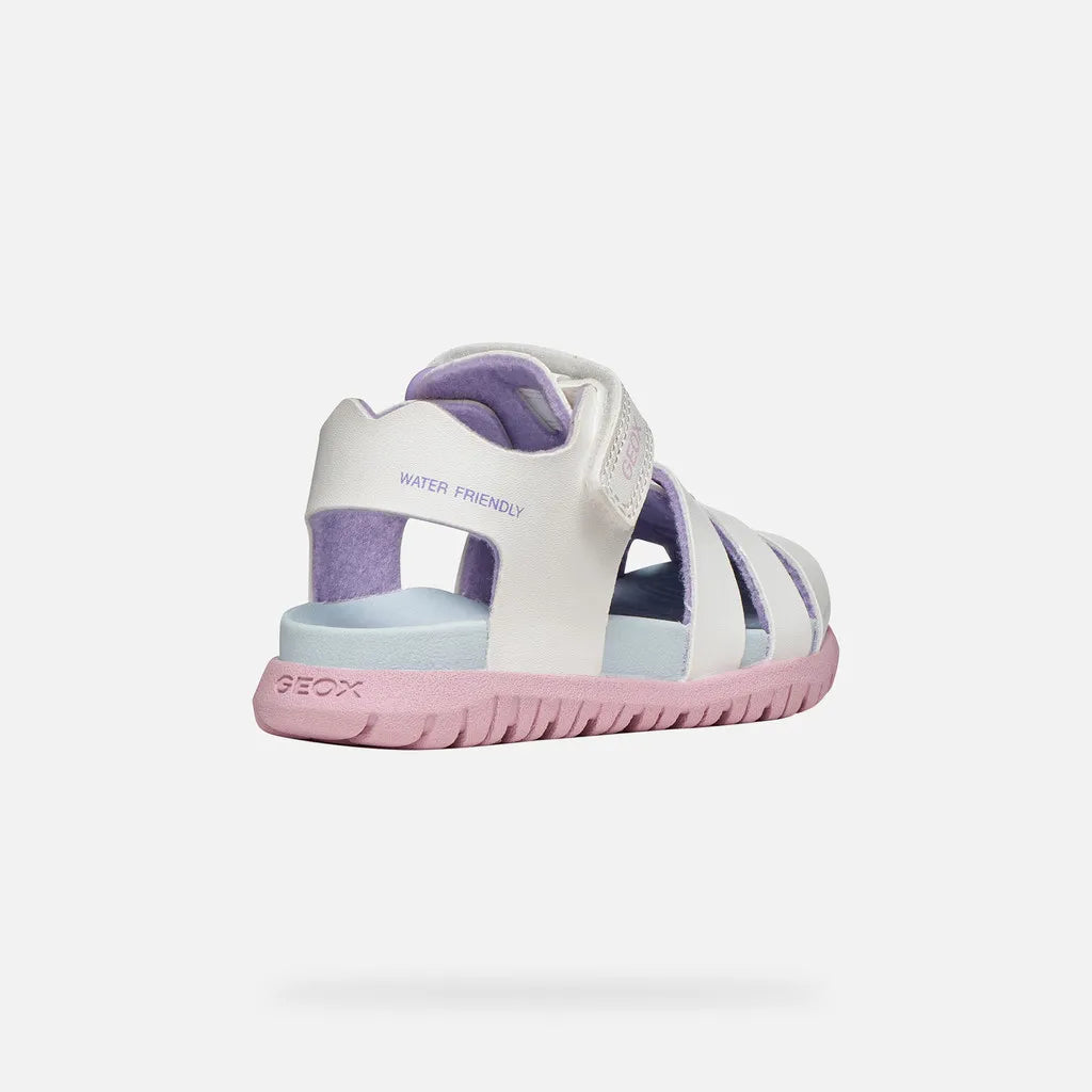 White/Pink