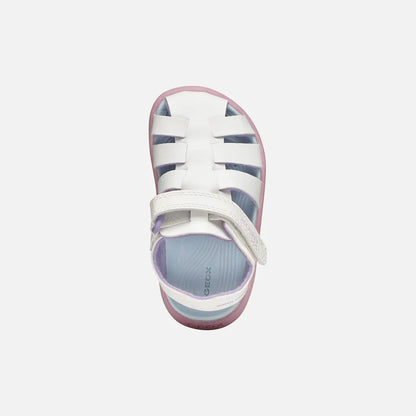 White/Pink