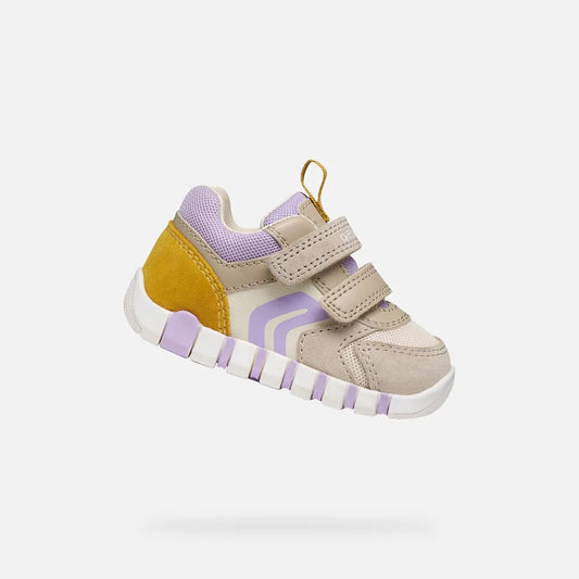 Beige/Lilac