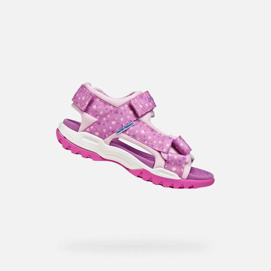 Pink/Purple