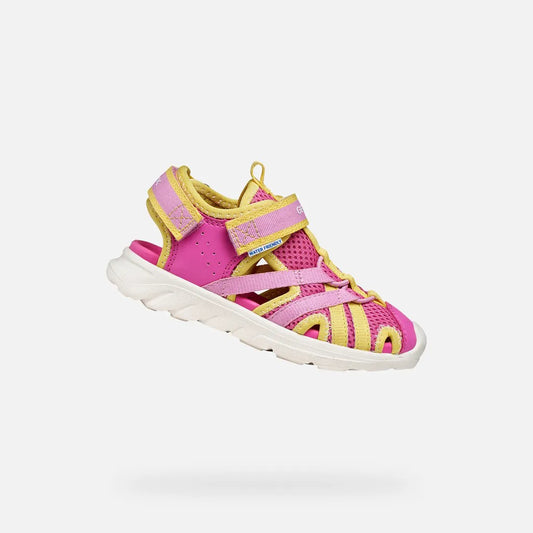 Fuchsia/Yellow