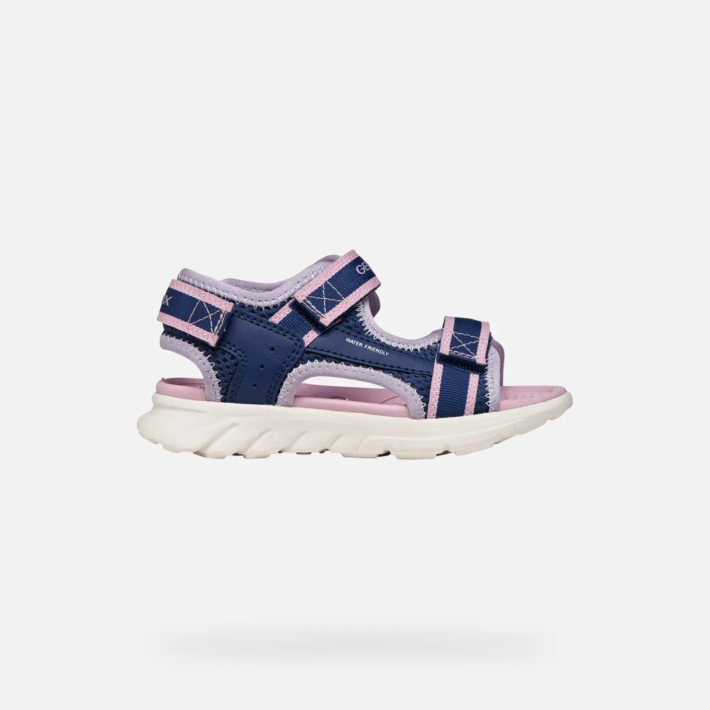 Navy/Orchid