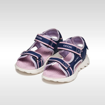 Navy/Orchid