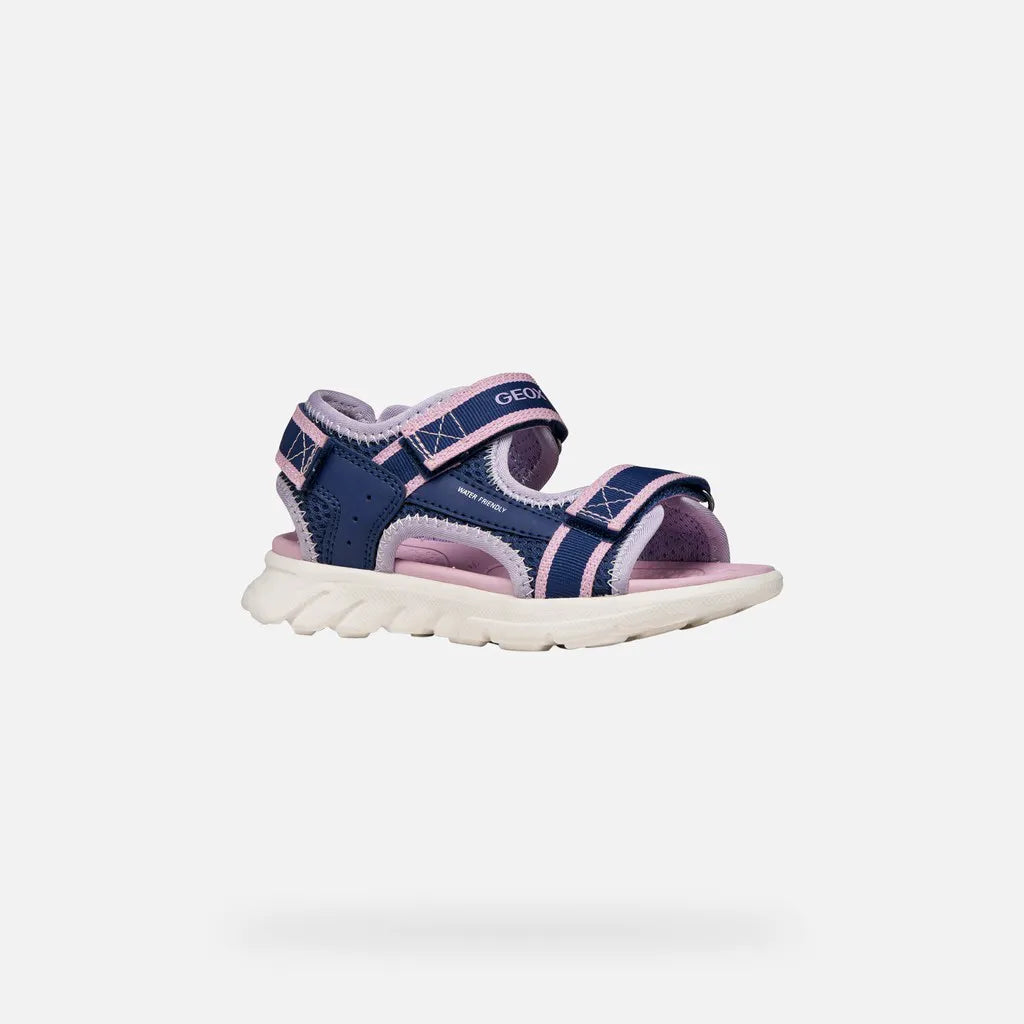 Navy/Orchid