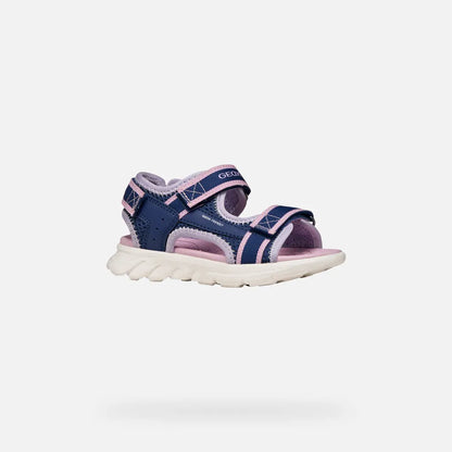 Navy/Orchid
