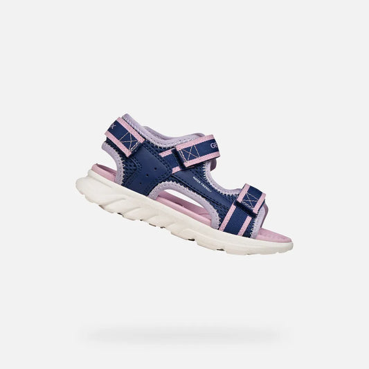 Navy/Orchid