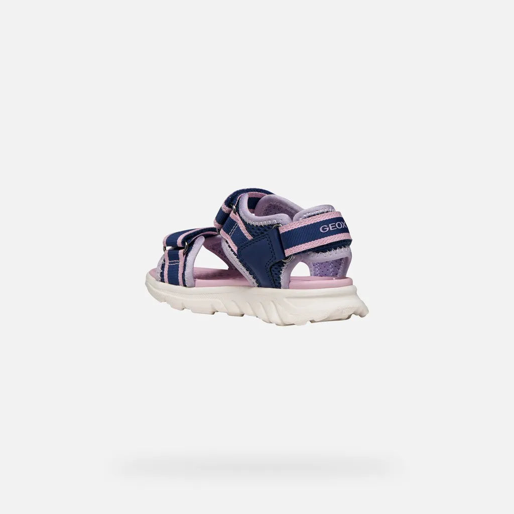 Navy/Orchid