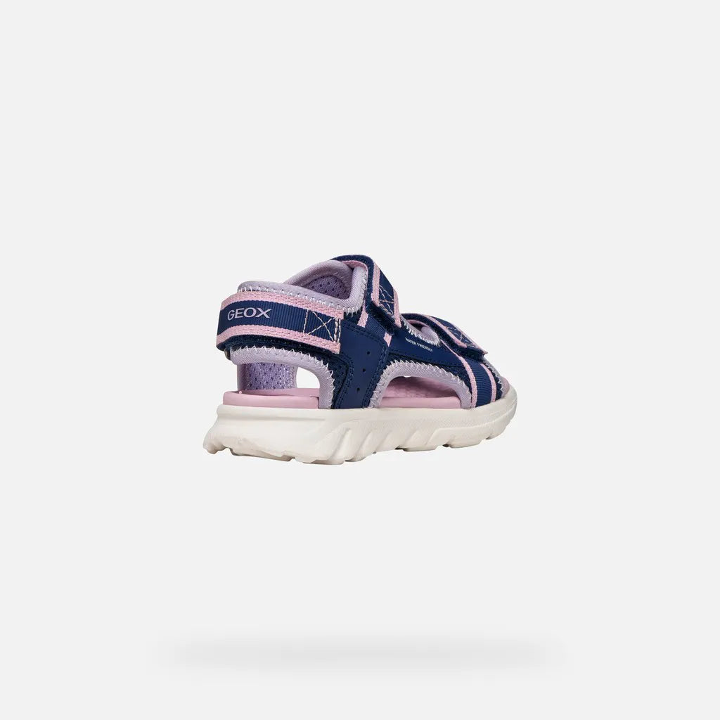 Navy/Orchid