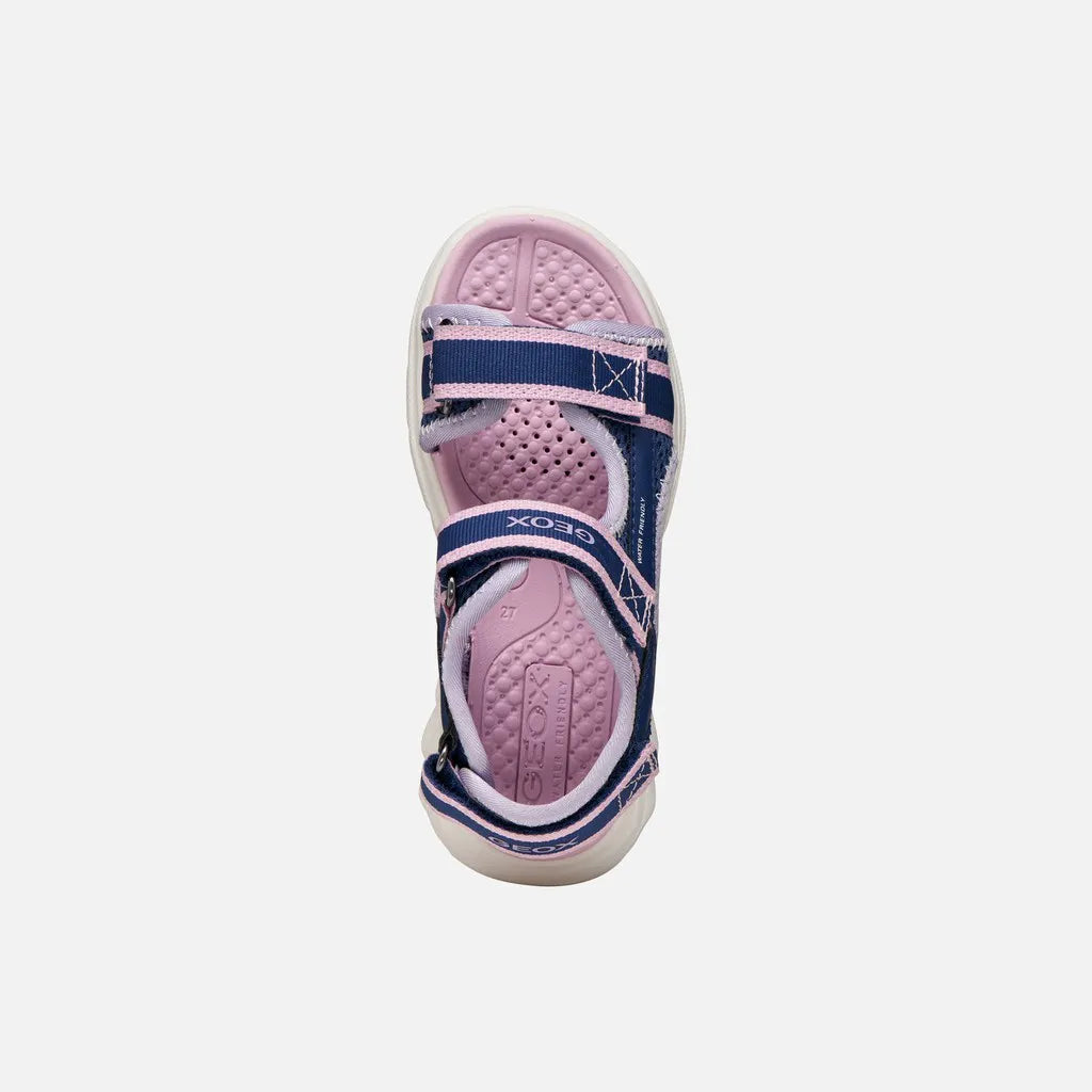 Navy/Orchid