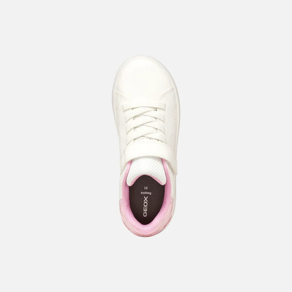 White/Pink