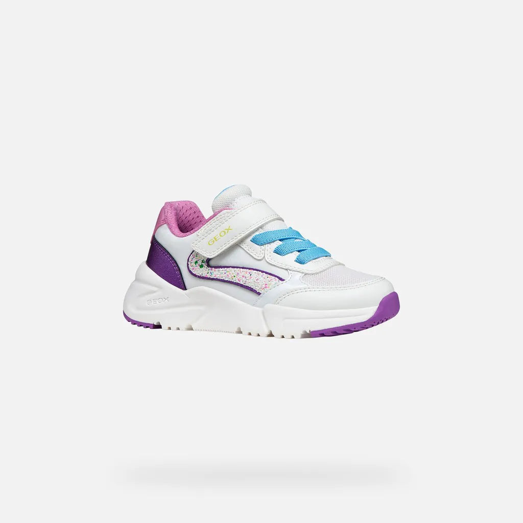 White/Dark Purple