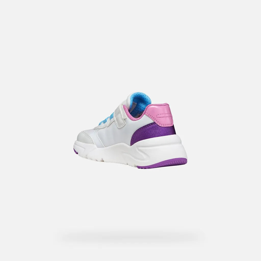 White/Dark Purple