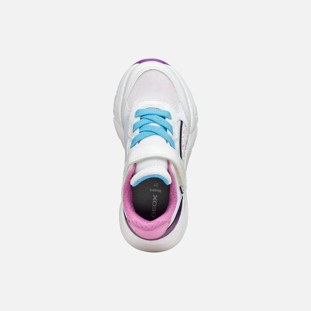 White/Dark Purple