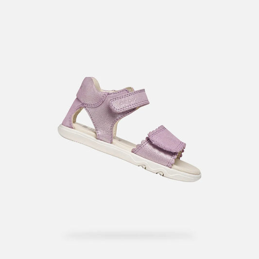 Lilac