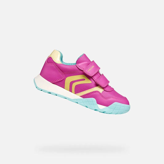 Fuchsia/Light yellow
