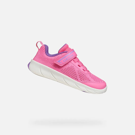 Pink/Lavender