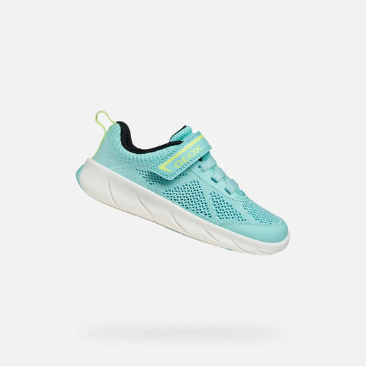 Watersea/Acid green