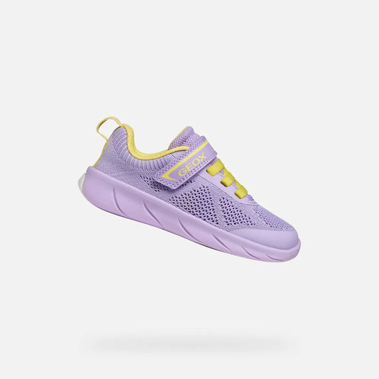 Lilac/Light Yellow