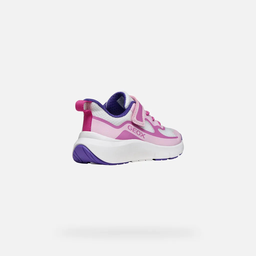 Pink/White