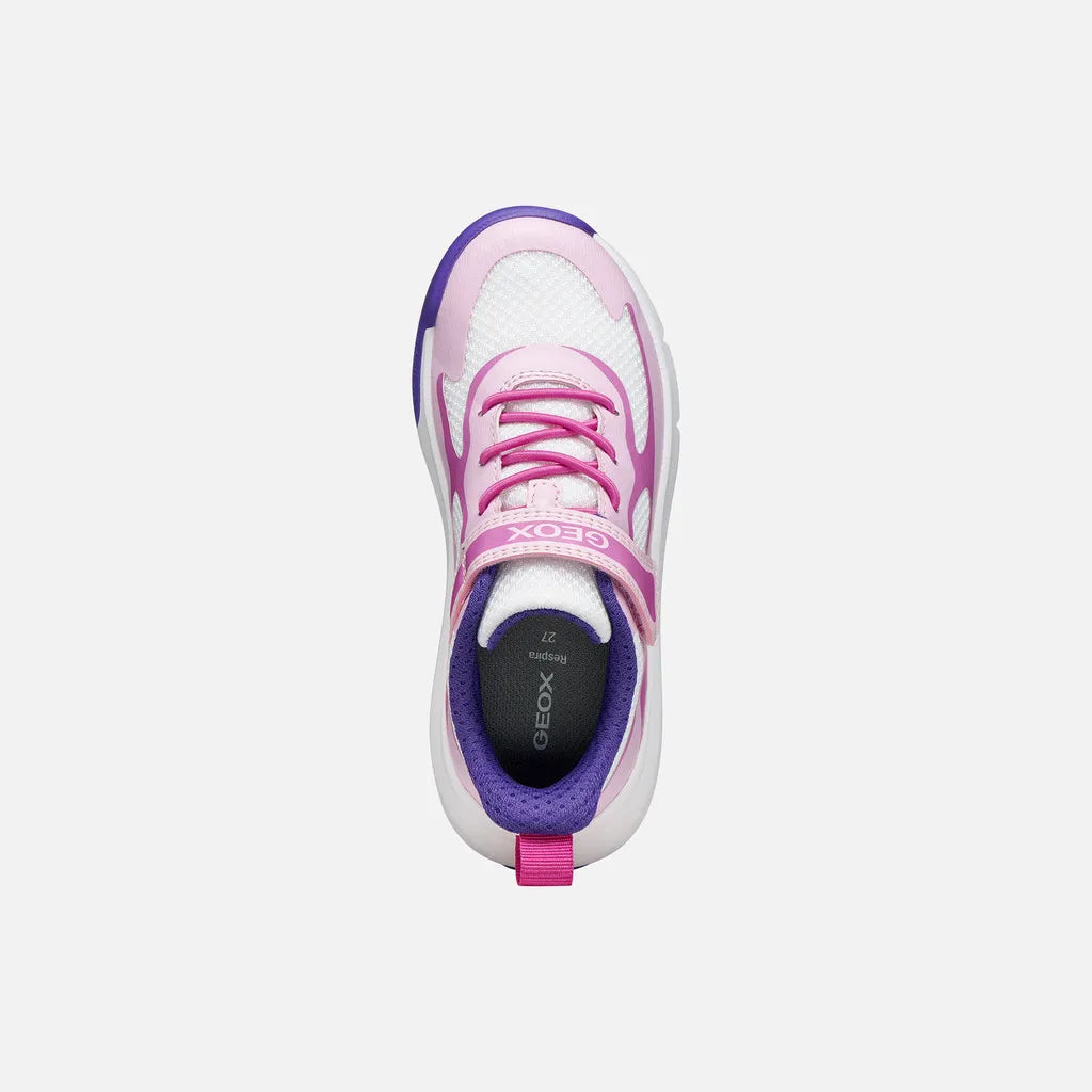Pink/White