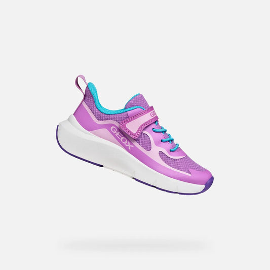 Purple/Lilac