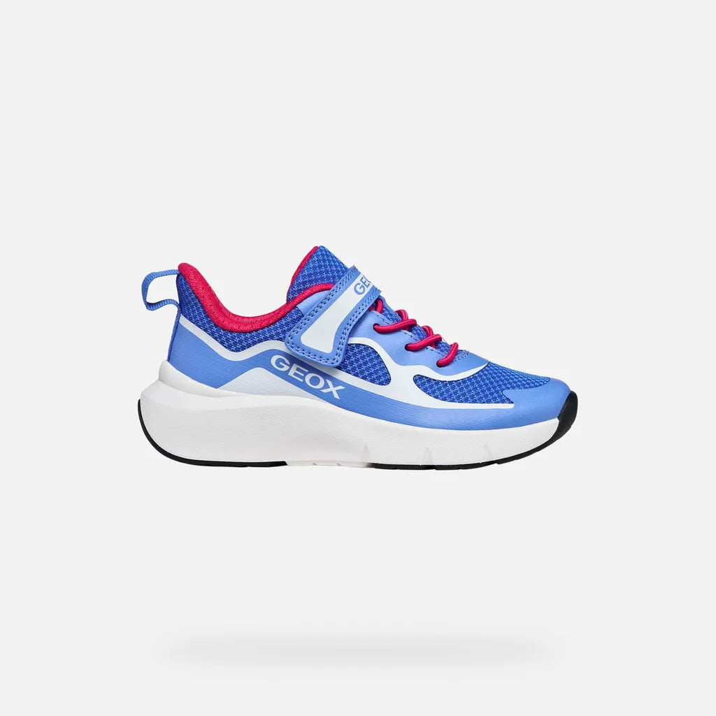 Blue/White
