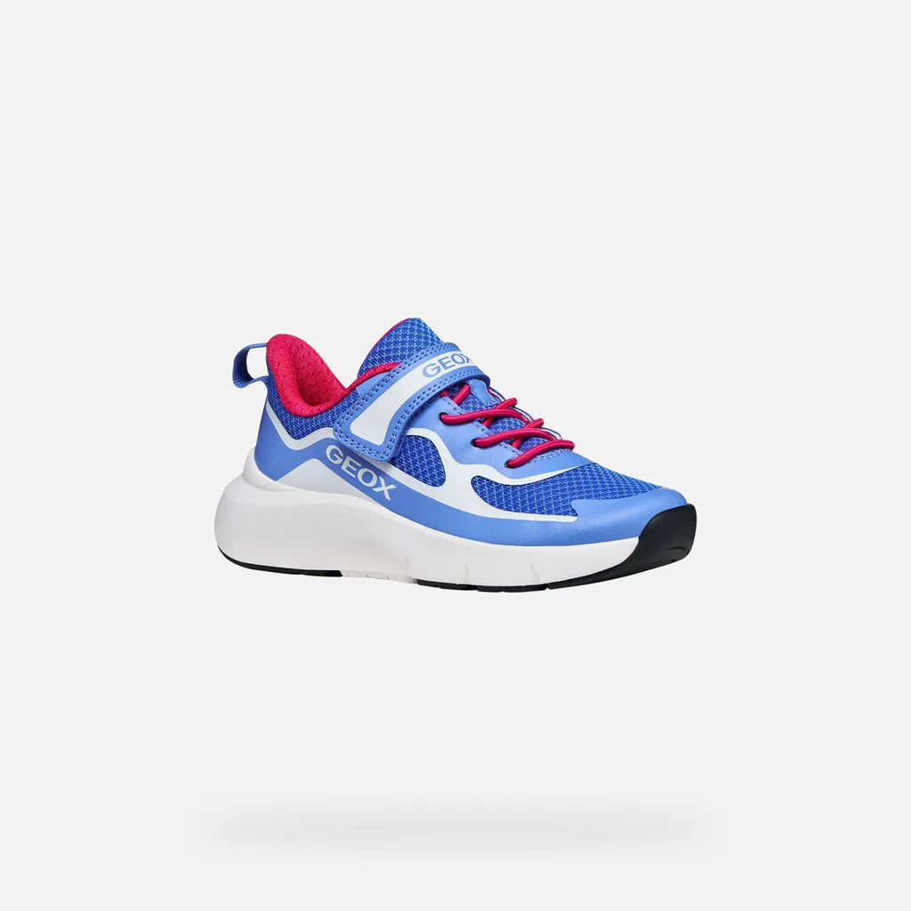 Blue/White