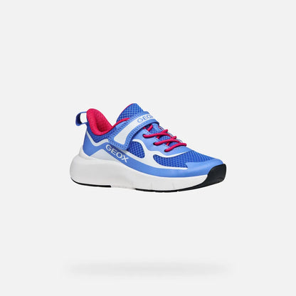 Blue/White