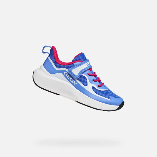 Blue/White