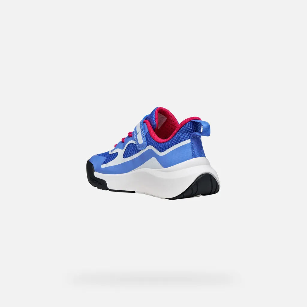 Blue/White