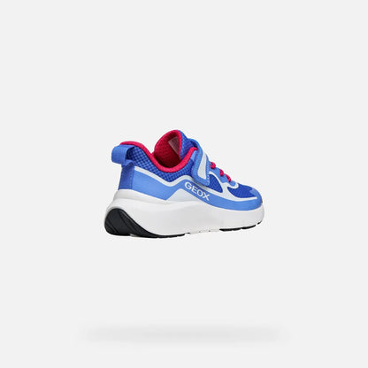 Blue/White